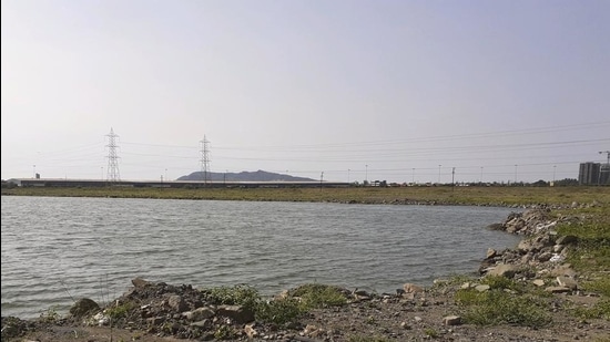 Bhendkhal wetland in Uran in Navi Mumbai. (File photo)