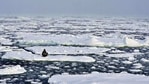 Activist Mya-Rose Craig, 18, sits on an ice floe in the middle of Arctic Ocean demanding action on climate crisis. (REUTERS File) Activist Mya-Rose Craig, 18, sits on an ice floe in the middle of Arctic Ocean demanding action on climate crisis. (REUTERS File)