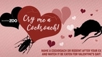 "On Valentine’s Day, February 14th, we will be showing our ‘Cry Me A Cockroach!’ feeding frenzy on our social media pages! Birds, reptiles, and mammals from San Antonio Zoo will join in on this feast," reads a bit of text shared on the zoo's website.(San Antonio Zoo) "On Valentine’s Day, February 14th, we will be showing our ‘Cry Me A Cockroach!’ feeding frenzy on our social media pages! Birds, reptiles, and mammals from San Antonio Zoo will join in on this feast," reads a bit of text shared on the zoo's website.(San Antonio Zoo)
