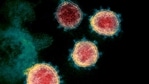 Both Elil Lilly and Regeneron have received US emergency use authorizations for their therapies.(AP | Representational image) Both Elil Lilly and Regeneron have received US emergency use authorizations for their therapies.(AP | Representational image)