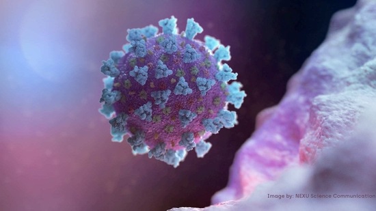 FILE PHOTO: A computer image created by Nexu Science Communication together with Trinity College in Dublin, shows a model structurally representative of a betacoronavirus which is the type of virus linked to COVID-19, better known as the coronavirus linked to the Wuhan outbreak, shared with Reuters on February 18, 2020. NEXU Science Communication/via REUTERS THIS IMAGE HAS BEEN SUPPLIED BY A THIRD PARTY. MANDATORY CREDIT./File Photo(via REUTERS)