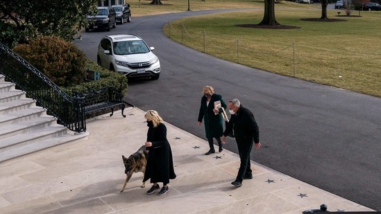 The image shows the dogs entering the White House.(Twitter/@FLOTUS) The image shows the dogs entering the White House.(Twitter/@FLOTUS)