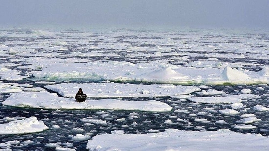 Activist Mya-Rose Craig, 18, sits on an ice floe in the middle of Arctic Ocean demanding action on climate crisis. (REUTERS File) Activist Mya-Rose Craig, 18, sits on an ice floe in the middle of Arctic Ocean demanding action on climate crisis. (REUTERS File)