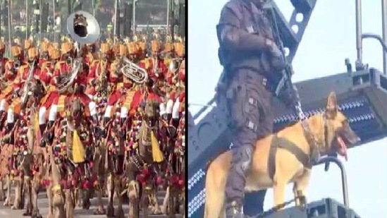 The animal contingents in the 72nd Republic Day parade was loved by netizens.(Twitter) The animal contingents in the 72nd Republic Day parade was loved by netizens.(Twitter)