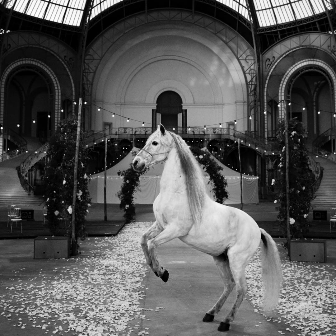 The symbolism of an equestrian presence at the show could have multiple interpretations (Photo: Instagram/ChanelOfficial) The symbolism of an equestrian presence at the show could have multiple interpretations (Photo: Instagram/ChanelOfficial)