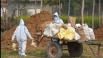 Ten teams have been constituted to cull 25,000 birds at Evergreen poultry farm. Ten teams have been constituted to cull 25,000 birds at Evergreen poultry farm.