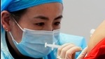 A medical worker prepares to administer a dose of a coronavirus disease vaccine to a man during a government-organised visit in Shanghai, China on January 19. (Reuters file) A medical worker prepares to administer a dose of a coronavirus disease vaccine to a man during a government-organised visit in Shanghai, China on January 19. (Reuters file)