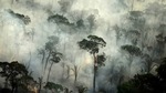 Brazil had the most deforestation, accounting for 61% of the hotspots in the Amazon overall.(Reuters file photo) Brazil had the most deforestation, accounting for 61% of the hotspots in the Amazon overall.(Reuters file photo)