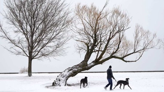 National Weather Service meteorologist Taylor Nicolaisen, who is based near Omaha, said up to 15 inches (38 centimeters) was reported in spots between York, Nebraska, and Des Moines, Iowa.(AP) National Weather Service meteorologist Taylor Nicolaisen, who is based near Omaha, said up to 15 inches (38 centimeters) was reported in spots between York, Nebraska, and Des Moines, Iowa.(AP)
