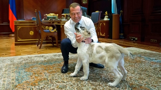 Turkmenistan ruler creates new national holiday to honour local dog ...