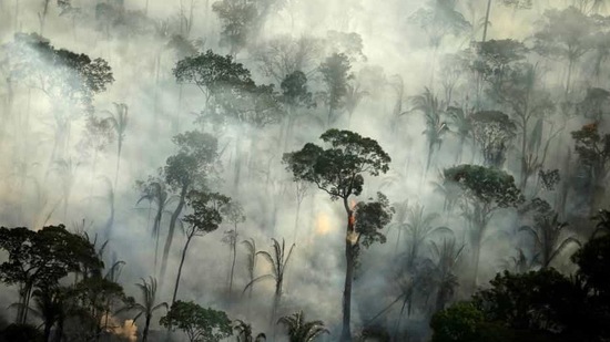 Brazil had the most deforestation, accounting for 61% of the hotspots in the Amazon overall.(Reuters file photo)