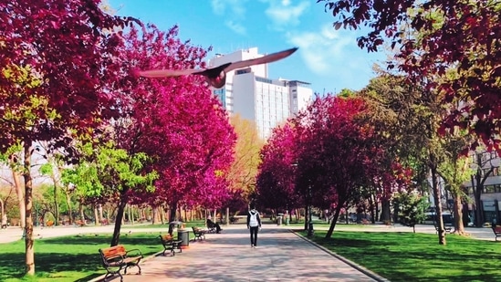 Chief Minister Pinarayi Vijayan will inaugurate the February 11-13 IGCE-II and the Gender Park. (Representational Image) (Unsplash) Chief Minister Pinarayi Vijayan will inaugurate the February 11-13 IGCE-II and the Gender Park. (Representational Image) (Unsplash)