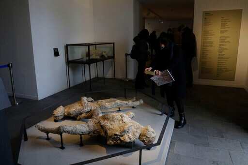A woman takes pictures of casts of two victims of the 49 AD Eruption of Mount Vesuvius displayed at the museum Antiquarium, in Pompeii, southern Italy, Monday, Jan. 25, 2021. Decades after suffering bombing and earthquake damage, Pompeiis museum is back in business, showing off exquisite finds from excavations of the ancient Roman city. Officials of the archaeological park of the ruins of the city destroyed in 79 A.D. by the eruption of Mount Vesuvius inaugurated the museum on Monday. (AP) A woman takes pictures of casts of two victims of the 49 AD Eruption of Mount Vesuvius displayed at the museum Antiquarium, in Pompeii, southern Italy, Monday, Jan. 25, 2021. Decades after suffering bombing and earthquake damage, Pompeiis museum is back in business, showing off exquisite finds from excavations of the ancient Roman city. Officials of the archaeological park of the ruins of the city destroyed in 79 A.D. by the eruption of Mount Vesuvius inaugurated the museum on Monday. (AP)