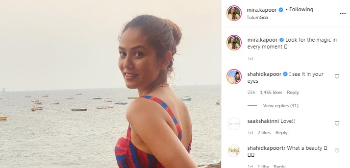 Shahid Kapoor's comment on Mira Rajput's picture (Instagram/mira.kapoor)