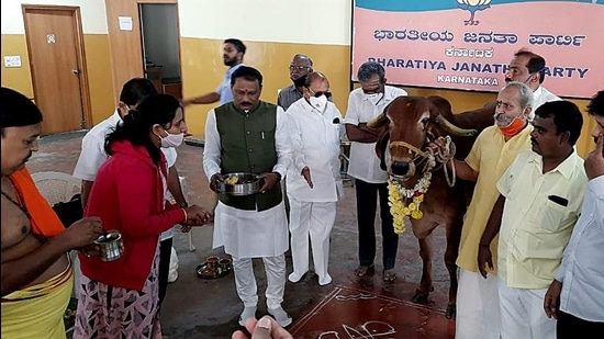 Cabinet Minister ST Somashekar, Lok Sabha MP Umesh Jadhav and other leaders worship a cow after the anti-cattle slaughter bill passed in the Lower House, at BJP headquarters Jagannath Bhavan in Bengaluru, December 2020. (ANI) Cabinet Minister ST Somashekar, Lok Sabha MP Umesh Jadhav and other leaders worship a cow after the anti-cattle slaughter bill passed in the Lower House, at BJP headquarters Jagannath Bhavan in Bengaluru, December 2020. (ANI)