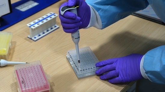 A healthcare worker uses a pipette to process Covid-19 test samples at the SpiceHealth Genome Sequencing Laboratory set up at the Indira Gandhi International Airport in New Delhi. (Bloomberg File Photo )
