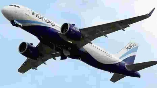 The airline's total income declined 50% year-on-year to <span class='webrupee'>₹</span>5,142 crore in the third quarter, IndiGo said in a statement.(HT Archive) The airline's total income declined 50% year-on-year to <span class='webrupee'>₹</span>5,142 crore in the third quarter, IndiGo said in a statement.(HT Archive)