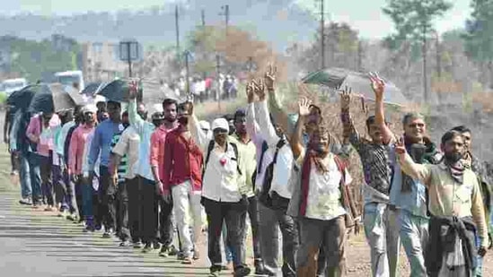 Kumar further said, "They may try to dilute the agitation through some declarations for farmers and farming sector. It will be fake. I do not believe that the budget will favour society."(PTI file photo. Representative image) Kumar further said, "They may try to dilute the agitation through some declarations for farmers and farming sector. It will be fake. I do not believe that the budget will favour society."(PTI file photo. Representative image)