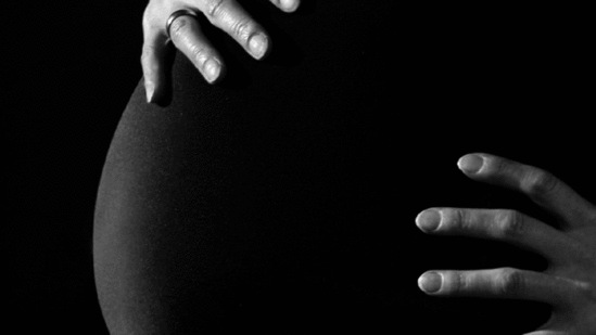 Stevens's lab studies the long-lasting impact of stress during pregnancy, which can lead to neuropsychiatric impairment in offspring during early life and in adulthood.(ANI) Stevens's lab studies the long-lasting impact of stress during pregnancy, which can lead to neuropsychiatric impairment in offspring during early life and in adulthood.(ANI)