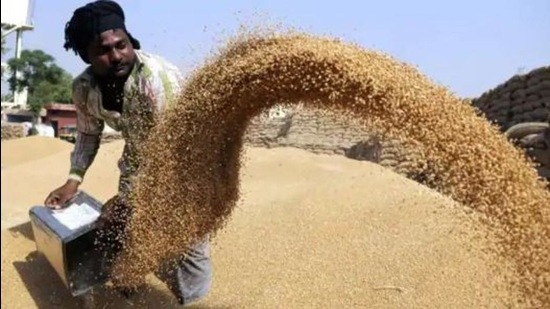 Foodgrains, though stored and preserved by the state food department, are a property and responsibility of the Food Corporation of India. (HT file photo)