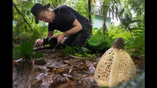 Stephen Axford photographs a stinkhorn in the gardens of the Balipara Foundation headquarters in Assam. The Foundation invited Axford and Marciniak to the north-east. (Stephen Axford and Catherine Marciniak) Stephen Axford photographs a stinkhorn in the gardens of the Balipara Foundation headquarters in Assam. The Foundation invited Axford and Marciniak to the north-east. (Stephen Axford and Catherine Marciniak)