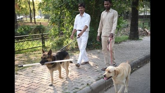 The ₹49-lakh project will come up on 1.5-acre land and will be north India’s first dog park. The ₹49-lakh project will come up on 1.5-acre land and will be north India’s first dog park.