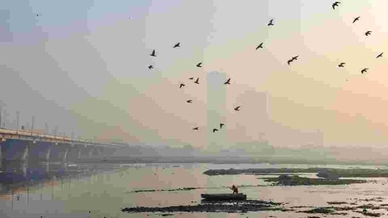 A boatman wades through toxic foam floating on the river Yamuna at Kalindi Kunj in New Delhi. (PTI) A boatman wades through toxic foam floating on the river Yamuna at Kalindi Kunj in New Delhi. (PTI)