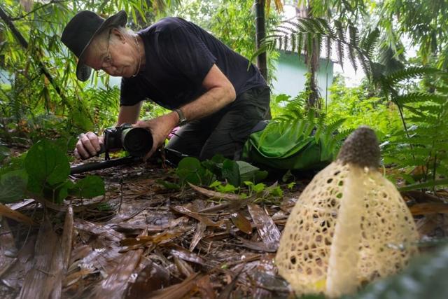 Stephen Axford photographs a stinkhorn in the gardens of the Balipara Foundation headquarters in Assam. The Foundation invited Axford and Marciniak to the north-east. (Stephen Axford and Catherine Marciniak) Stephen Axford photographs a stinkhorn in the gardens of the Balipara Foundation headquarters in Assam. The Foundation invited Axford and Marciniak to the north-east. (Stephen Axford and Catherine Marciniak)