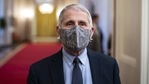 The UK coronavirus variant is currently present in at least 28 US states and has been identified in more than 315 patients, according to Fauci.(Bloomberg) The UK coronavirus variant is currently present in at least 28 US states and has been identified in more than 315 patients, according to Fauci.(Bloomberg)