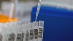 A member of medical staff uses a pipette to process Covid-19 test samples.(Bloomberg) A member of medical staff uses a pipette to process Covid-19 test samples.(Bloomberg)