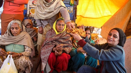 Author Arundhati Roy joins farmers' ongoing protest against the new farm laws, at Tikri Border in New Delhi, Saturday, Jan. 09, 2021. (PTI)