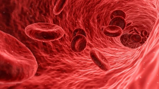 Treg cells are an original populace of versatile insusceptible cells that forestalls an enthusiastic immune response, such as those that occur in autoimmune diseases. (Pixabay) Treg cells are an original populace of versatile insusceptible cells that forestalls an enthusiastic immune response, such as those that occur in autoimmune diseases. (Pixabay)