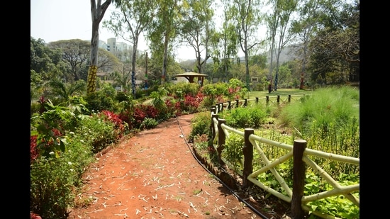 Shirole has also forwarded a letter to the forest department and taken in suggestions from residents and regular tekdi walkers. (Milind Saurkar/HT Photo) Shirole has also forwarded a letter to the forest department and taken in suggestions from residents and regular tekdi walkers. (Milind Saurkar/HT Photo)