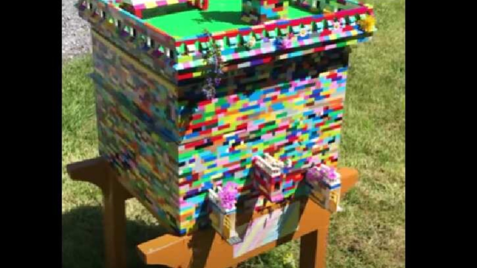 Guinness World Records shares video of best Lego titles. Watch