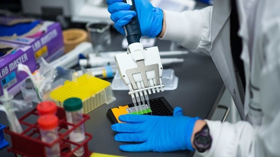 In the study, the scientists found that when SARS-CoV-2 takes over, it completely changes the cells' metabolic processes. (Bloomberg file photo) In the study, the scientists found that when SARS-CoV-2 takes over, it completely changes the cells' metabolic processes. (Bloomberg file photo)