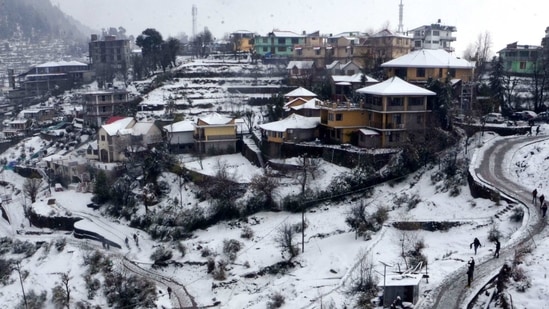 Dharamkot village is known as a "mini-Israel" of Himachal Pradesh and sees large number of tourists coming to India from the West Asian country. (PTI)