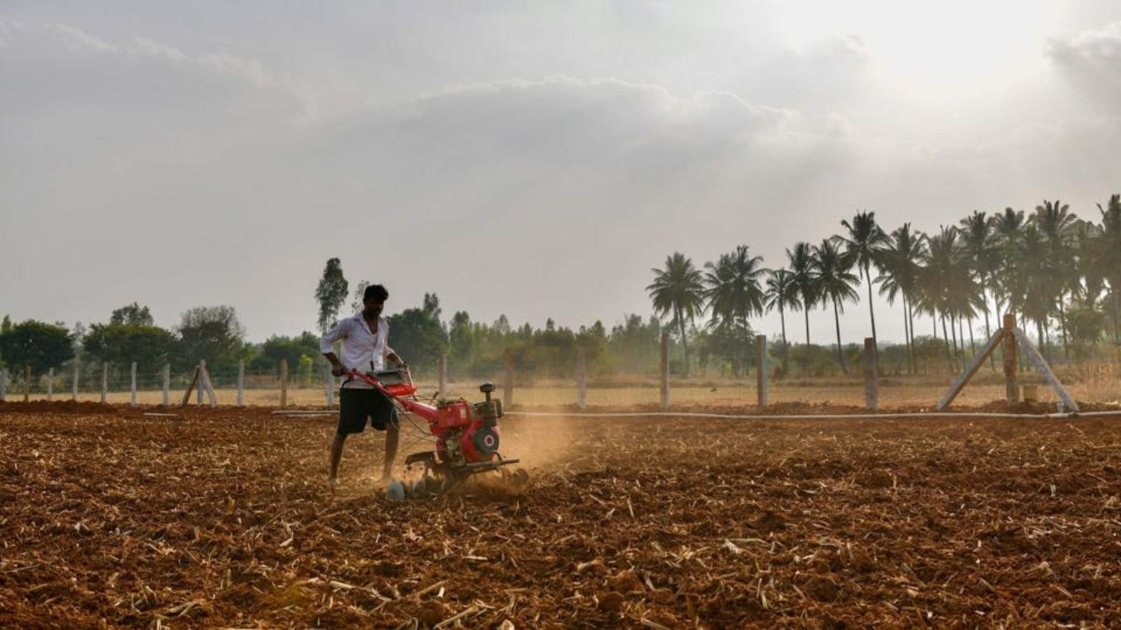 farm-based-livelihood-shamayita-math