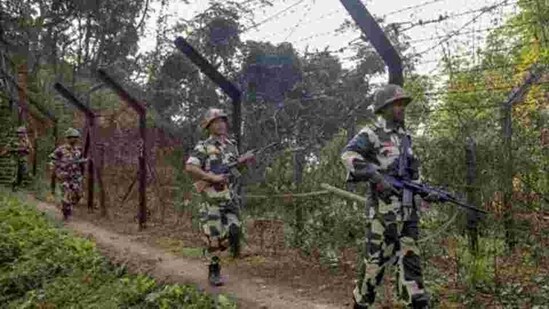 The BSF has ordered a departmental probe into the firing at Belonia(PTI FILE PHOTO)