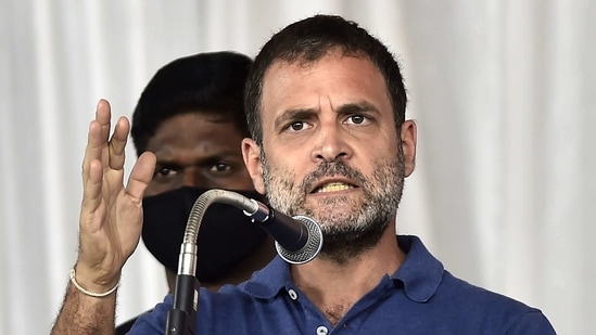 Congress Rahul Gandhi. (PTI)