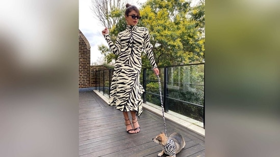 Priyanka Chopra twins with pet dog Diana in stylish outfit: 'A white