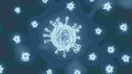 Potential antiviral drug identified to fight Covid-19 and future virus outbreaks(Yahoo) Potential antiviral drug identified to fight Covid-19 and future virus outbreaks(Yahoo)