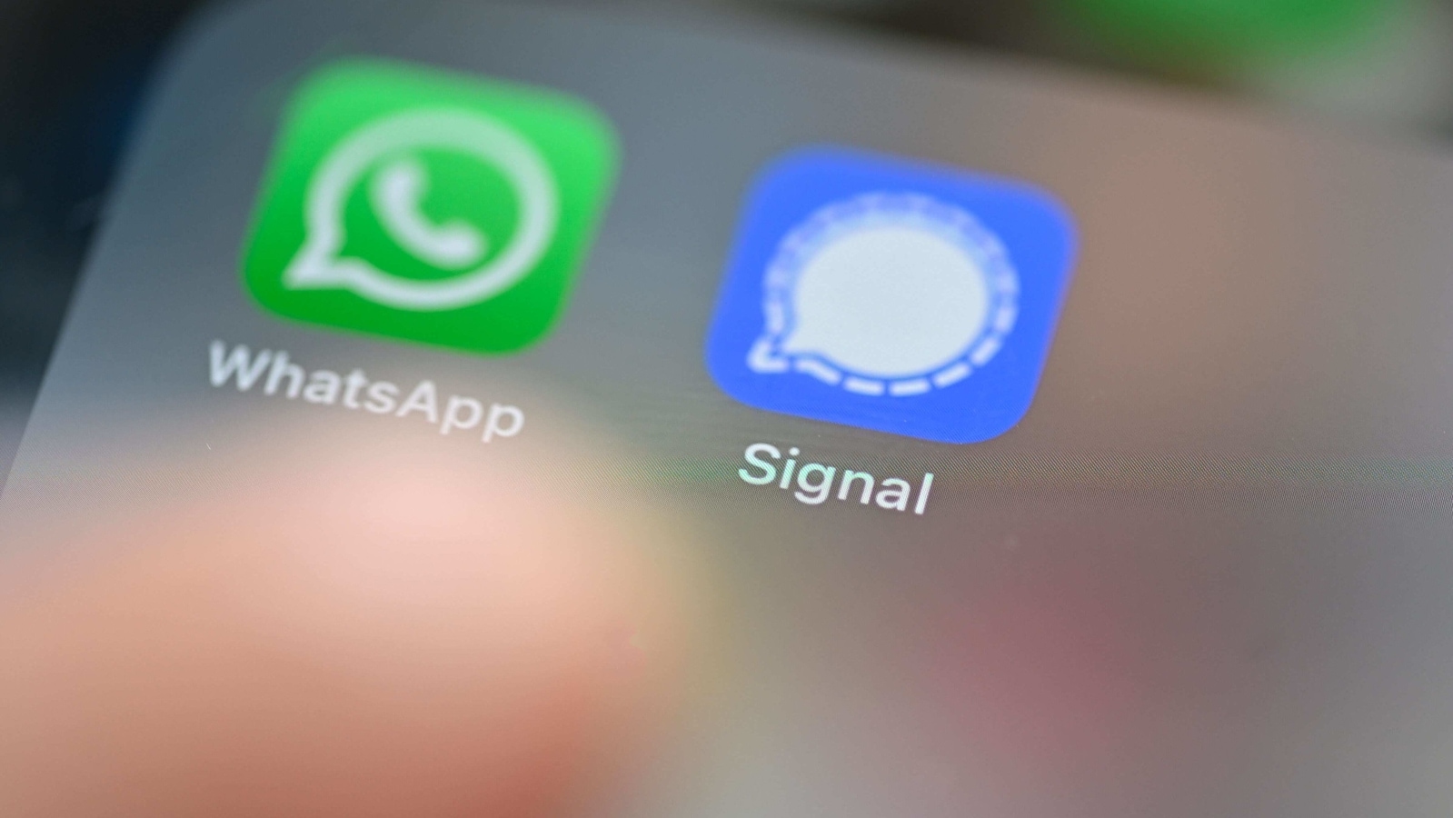 https www whatsapp com legal download https www whatsapp com legal download
