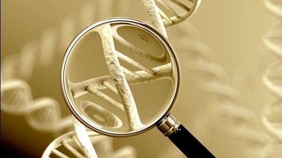 Representational image. Representational image.