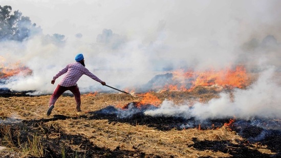 A farmer burns paddy stubble at a farm on the outskirts of Amritsar. (PTI/ File photo) A farmer burns paddy stubble at a farm on the outskirts of Amritsar. (PTI/ File photo)