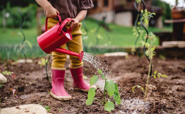 At the JW Marriott Mussoorie Walnut Grove Resort & Spa, guests can join in the hotel’s afforestation initiative by planting a sapling (Getty Images) At the JW Marriott Mussoorie Walnut Grove Resort & Spa, guests can join in the hotel’s afforestation initiative by planting a sapling (Getty Images)
