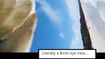 The eagle's wing can be seen in the video.(Twitter/@buitengebieden_) The eagle's wing can be seen in the video.(Twitter/@buitengebieden_)