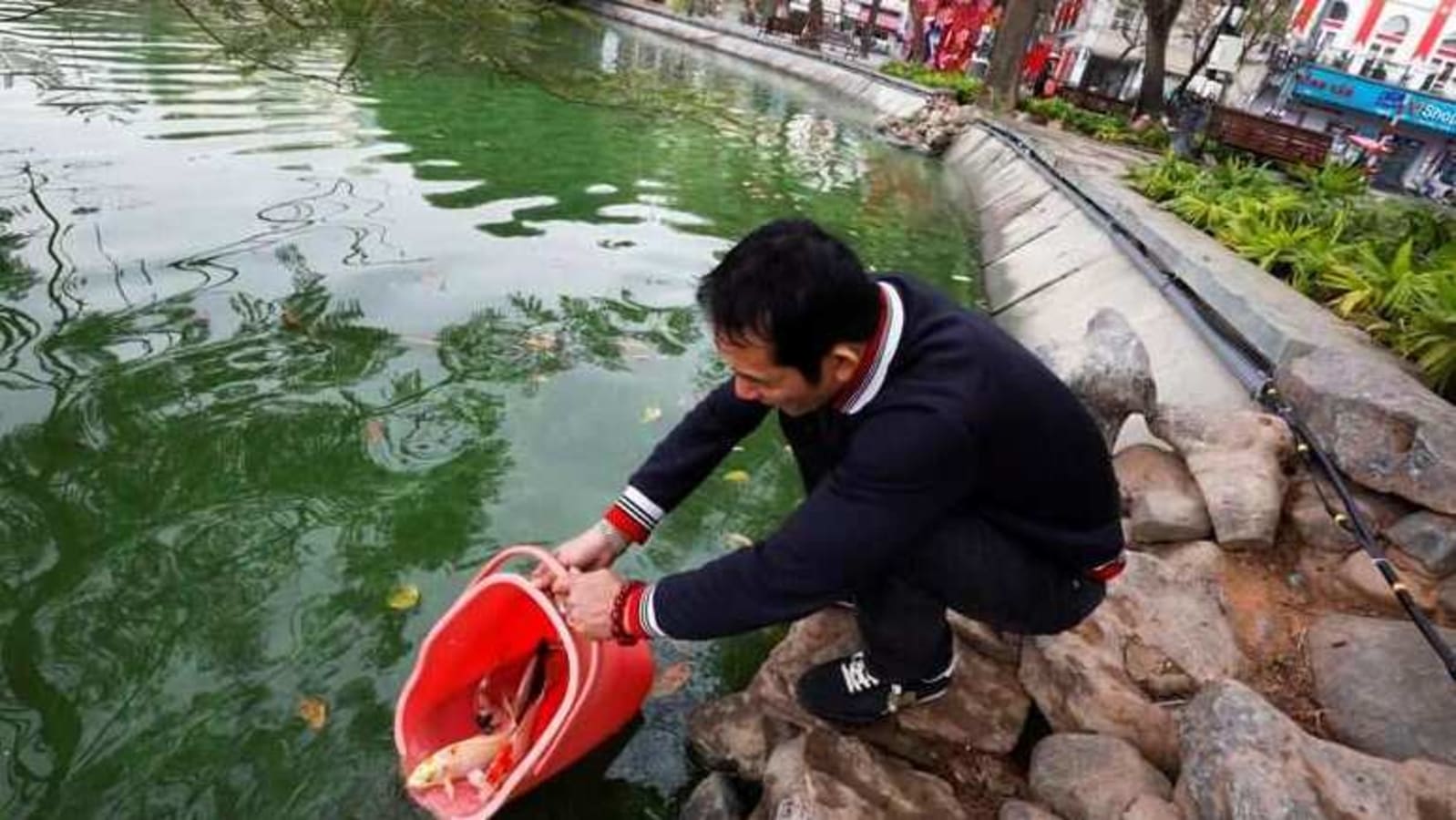 Carp Diem: Vietnam kicks of Lunar year celebration with ornamental fish ...