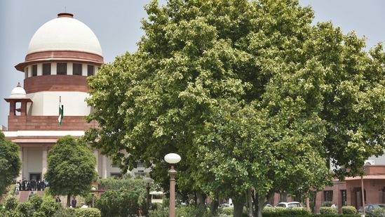 The Ficus Benjamina or the Weeping Fig is a handsome, evergreen tree with glossy leaves. Here seen inside the Supreme Court compound, its figs come without stalks and are bright red in colour.(Burhaan Kinu/ HT Archive)