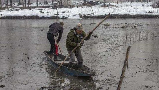 Wildlife officer Ghulam Mohiuddin Dar, right, along with a colleague Mushtaq Ahmad struggles to row their boat on the frozen surface of a wetland in Hokersar, north of Srinagar, Indian controlled Kashmir, Friday, Jan. 22, 2021.(AP)