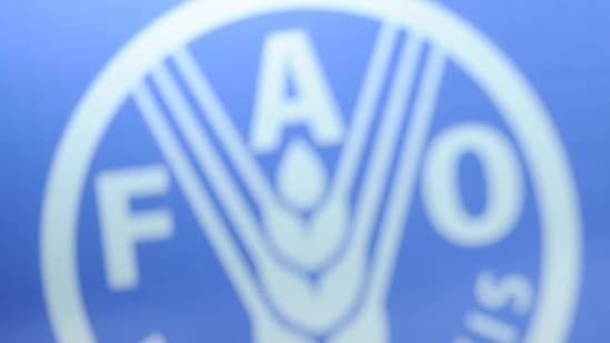 FAO logo during the opening session of the World Food Day at the FAO headquarters in Rome.(AP)